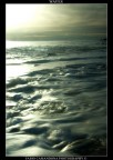 waves waves
