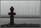LA CALMA DEL MATTINO..... LA CALMA DEL MATTINO.....