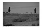 Fulignano Fulignano