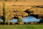 oasi di colfiorito oasi di colfiorito