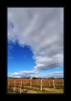 La casa sulla vigna La casa sulla vigna
