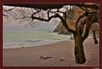 Costa vietrese-la quiete dopo la tempesta Costa vietrese-la quiete dopo la tempesta