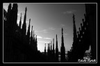 Un controluce diverso Un controluce diverso