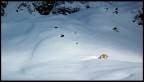 Sotto la neve Sotto la neve