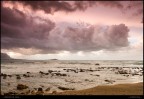 Violet sky Violet sky