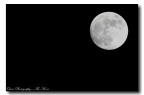 The Moon light... The Moon light...