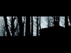 Silent Forest Silent Forest