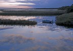 delta del po riflessi