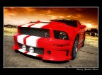 Muscle Car