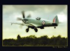 Spitfire