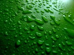 Siamo al verde... Siamo al verde...