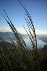 Lago Maggiore Lago Maggiore