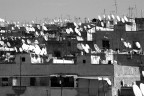 Impatto ambientale Impatto ambientale