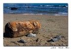 Il mare è onesto, ci rende quello che non è suo... Il mare è onesto, ci rende quello che non è suo...