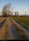 Strada Strada