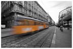 vita in movimento vita in movimento