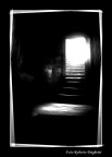 Luce Luce