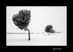 ...LI', AD ASPETTARE CHE... ...LI', AD ASPETTARE CHE...