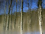 Riflessi ribelli Riflessi ribelli