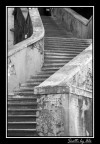 STEPS STEPS