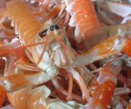 prova macro prova macro