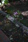 Luce e Speranza Luce e Speranza