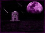 Violet Nocturn Violet Nocturn