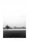 Nella nebbia all' alba Nella nebbia all' alba