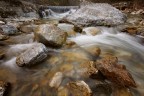 ...TORRENTE... ...TORRENTE...