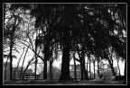Lucca 2009 Lucca 2009