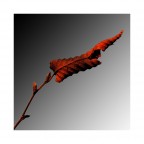 L' Autunno,ahim�,le inarid�...