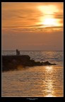 Il gabbiano e il pescatore Il gabbiano e il pescatore