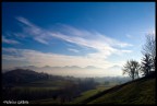 Colline Asolane Colline Asolane