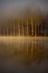 Ancora alba e nebbia... Ancora alba e nebbia...