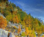 impressioni d, autunno 2 impressioni d, autunno 2