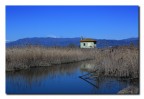 l'osservatorio... l'osservatorio...