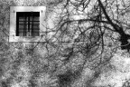 ...dopo venne l'inverno ...dopo venne l'inverno