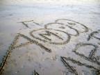 16 270209 AMORE ... PASSEGGERO 16 270209 AMORE ... PASSEGGERO