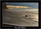 Oro nella battigia Oro nella battigia