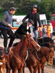 Non sarà pericoloso? Non sarà pericoloso?