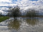 Lungo il fiume e sull'acqua.............