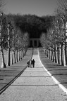 Nel mezzo del cammin... Nel mezzo del cammin...