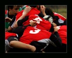rugby (moul)