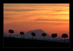 Ieri sera, al crepuscolo Ieri sera, al crepuscolo