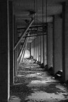 DSC_0043 DSC_0043