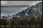 Trevi Trevi