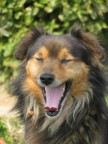 sorridi...!! sorridi...!!