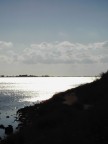 Controluce