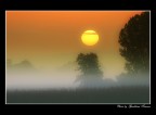 Alba lombarda Alba lombarda
