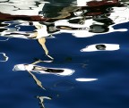 Riflessi Riflessi